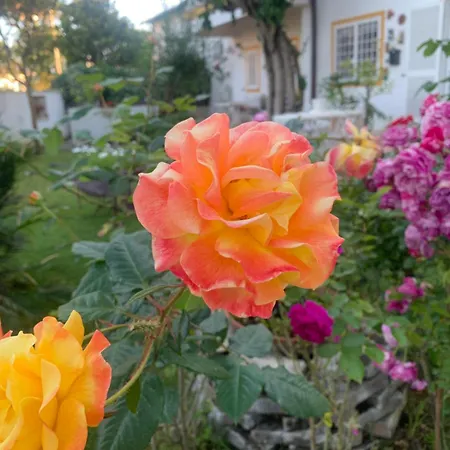 Relais Roma Pensjonat Fregenae