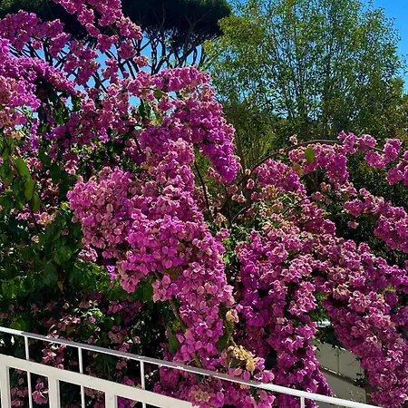Relais Roma Fregenae