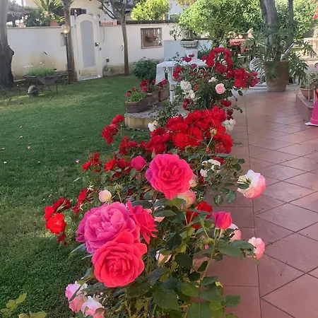 Relais Roma Pensjonat
