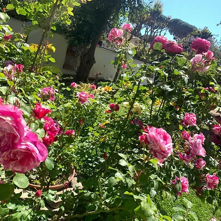 Relais Roma בית הארחה