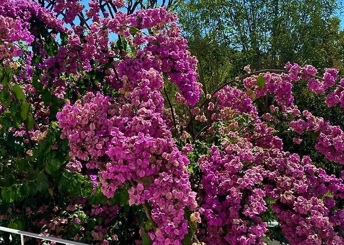 Relais Roma פרג'נה