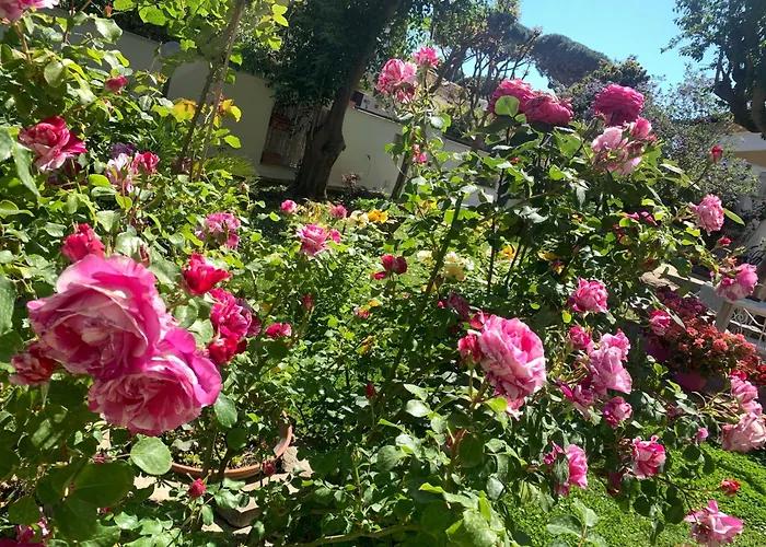 Relais Roma Pensjonat